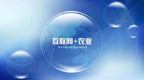 數字化賦能鄉村振興 互聯網與農業融合發展及網絡信息安全保障