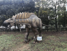 免費門票大放送！東錢湖水上樂園×恐龍園文化旅游節(jié)震撼開啟